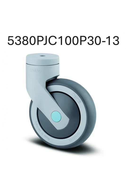 Rueda 100 mm, sin freno, acero inoxidable (Levina), gris